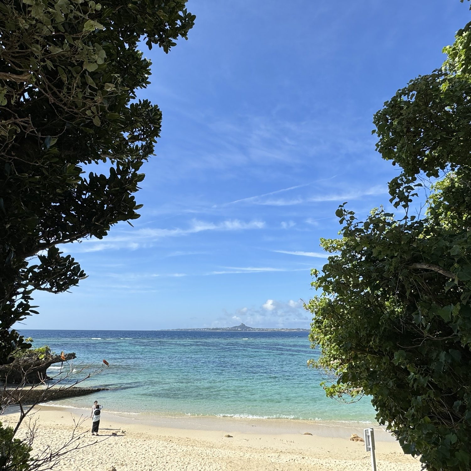 沖繩美麗海水族館