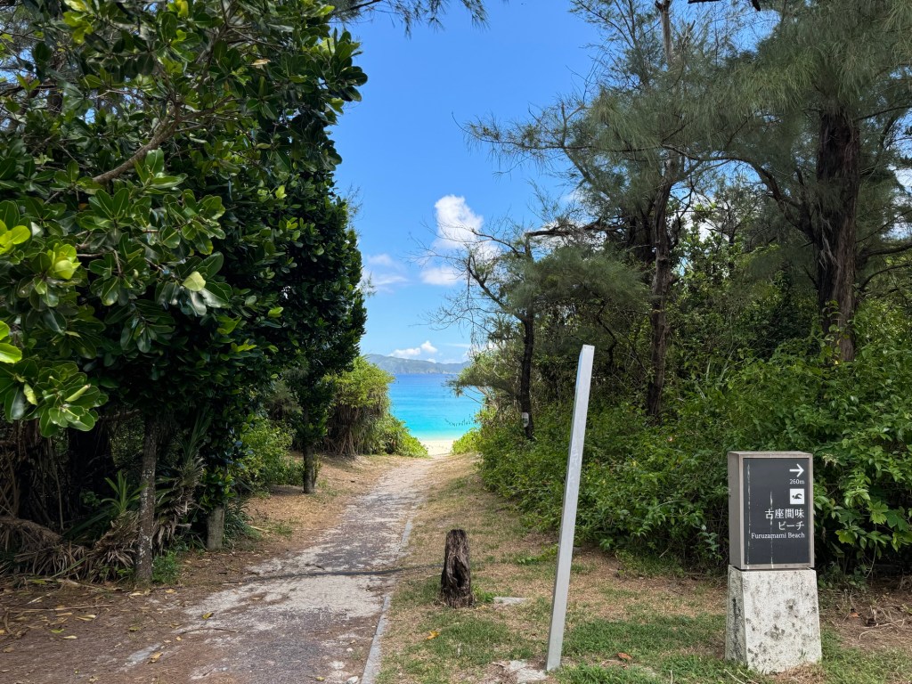 沖繩擁有最美海灘的悠閑渡假島嶼🏖️🇯🇵座間味島