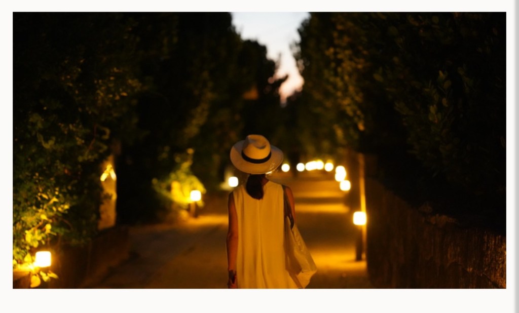 沖繩最夢幻、在港口就可以看到海龜的小島🏝️🇯🇵渡名喜島🐢