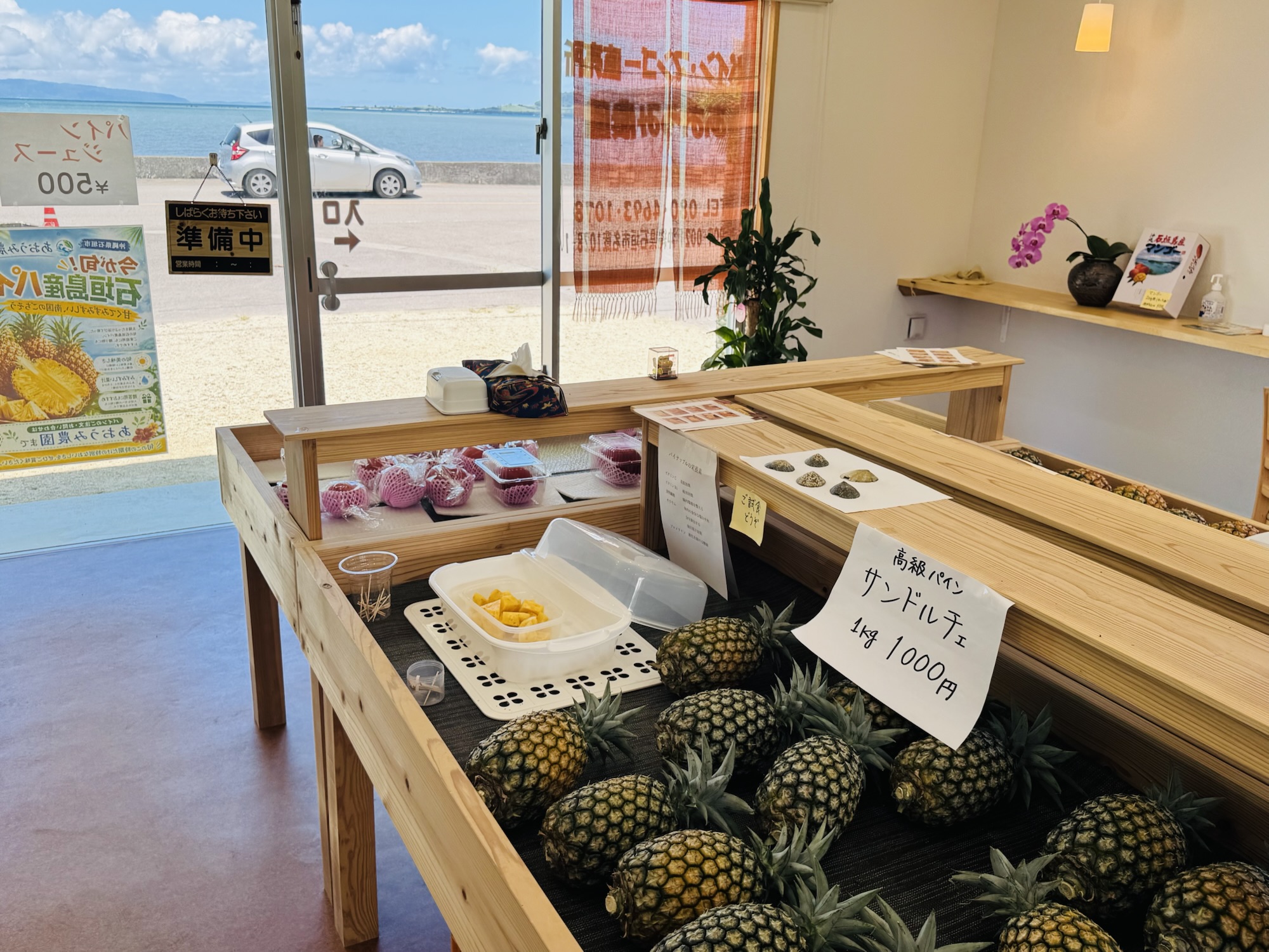 石垣島あおうみ農園（青海農園)｜海景第一排品嚐超甜「サンドルチェ」鳳梨，沒有酸味的幸福滋味🇯🇵石垣島